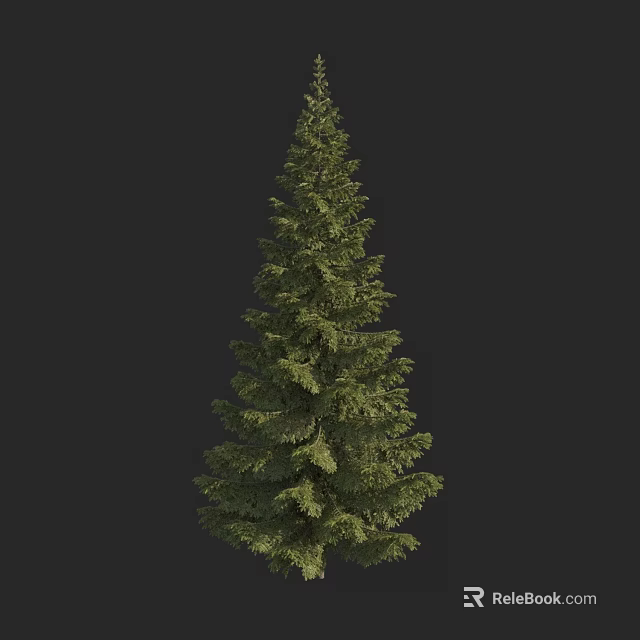 Tall Pine Tree With Lush Green Foliage And Evergreen Branches In Natural Setting 3d model 