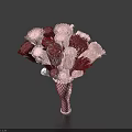 Household Cleaning Brush With Red And White Fiber Bristles And Netted Base
