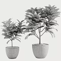 Bonsai Potted Plants With Green And Red Leaves In Gray Pots