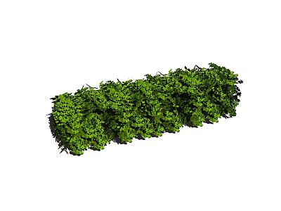 Lush Green Shrub with Dense Foliage Ideal for Garden Landscaping 3d model