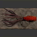 Cuttlefish Squid Cuttlefish Squid Octopus Beads Squid Octopus Heart-fin Whip Squid 3d model