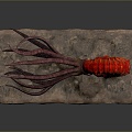 Cuttlefish Squid Cuttlefish Squid Squid Octopus Beads Squid Octopus Octopus Heart-fin Whip Squid 3d model