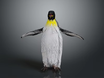 Penguin With Yellow Neck And Black White Feathers Spread Wings On Gray Background 3d model