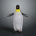 Penguin With Yellow Neck And Black White Feathers Spread Wings On Gray Background