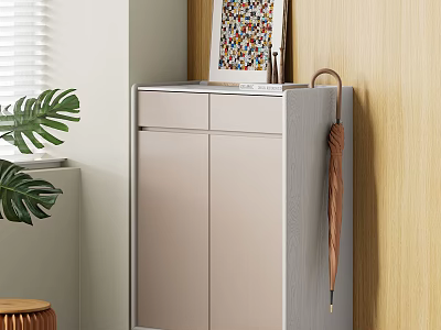 Modern Light Grey Shoe Cabinet With Colorful Photo Frame Umbrella And Green Plant 3d model