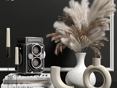 Decorative Ornament Set With Vintage Camera Pampas Grass White Vases Books Candles And Black Wall 3d model