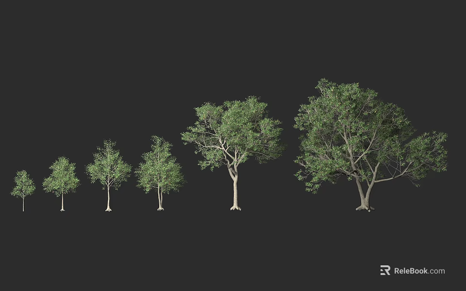 Multiple Arbor Trees In Different Sizes With Green Foliage And Natural Trunks 3d model