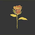 Red Rose Plant With Green Leaves And Stem On Gray Background