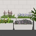 Purple Hydrangeas Pink Small Flowers And Green Plants In White Planters On Light Tile Wall