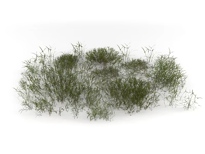 Lush Green Grass and Wildflower Clusters Growing in Open Natural Space 3d model