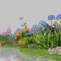 Colorful Garden Flowers With Blue Purple Yellow Blooms Water Reflection Green Grass And Rocks