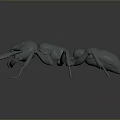 Realistic Gray Ant 3D Model With Detailed Body Segments Long Legs And Sharp Mandibles