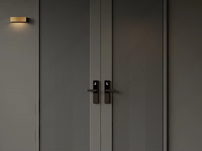 Contemporary Double Doors Design With Brushed Metal Handles And Side Wall Light 3d model