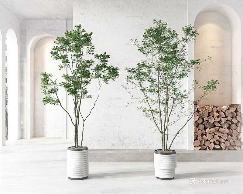 Potted Bonsai Trees in White Ceramic Pots for Modern Room with Archway and Firewood Stack 3d model 