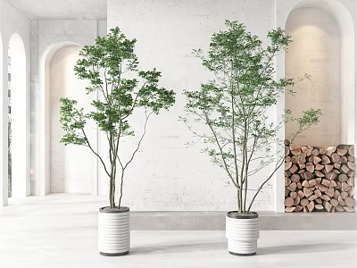 Potted Bonsai Trees in White Ceramic Pots for Modern Room with Archway and Firewood Stack 3d model