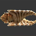 Natural Conch Shell Decorative Ornament Set With Peach Color And Textured Reflective Base
