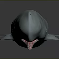 Detailed 3D Light Blue Whale Model With Open Mouth On Gray Background