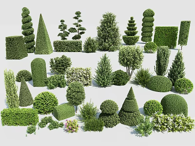 Diverse Assortment of Garden Shrubs with Different Shapes Sizes and Varieties 3d model