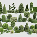 Diverse Assortment of Garden Shrubs with Different Shapes Sizes and Varieties