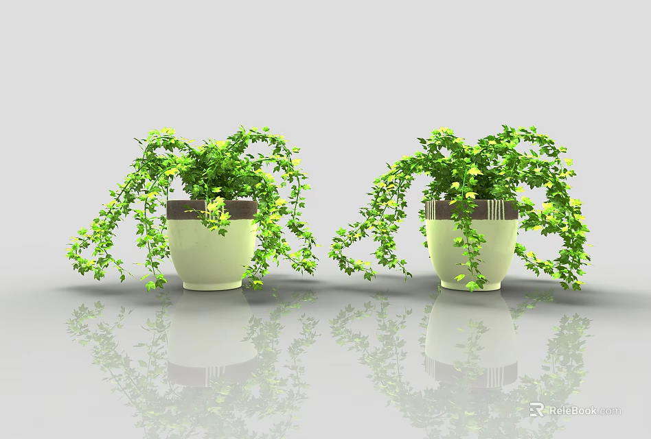 Two Potted Bonsai Plants with Trailing Green Vines in Light Colored Pots on Glossy Surface 3d model 