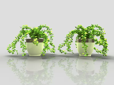 Two Potted Bonsai Plants with Trailing Green Vines in Light Colored Pots on Glossy Surface 3d model