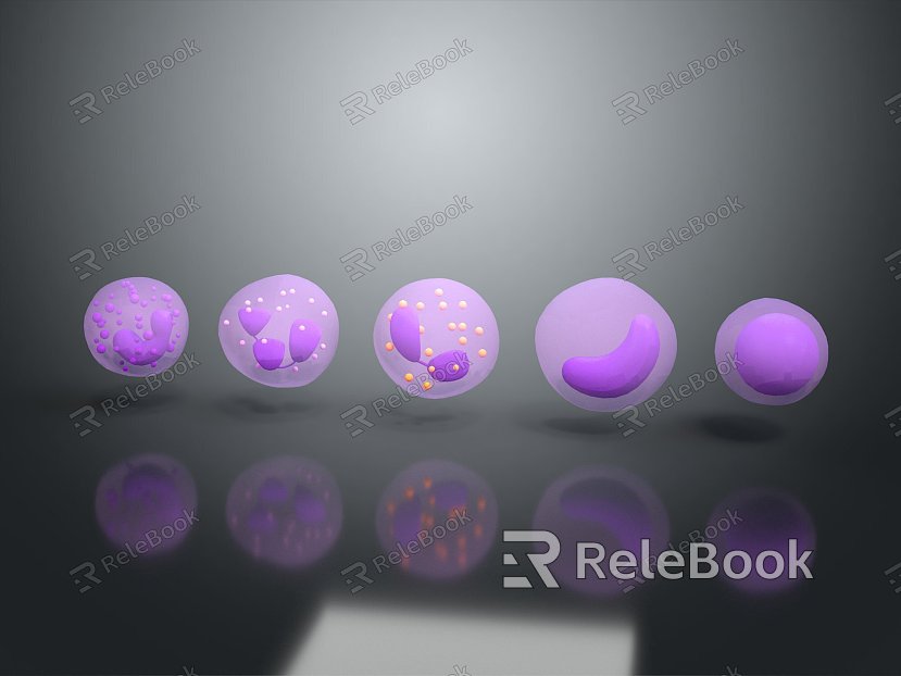 modern cell white blood cell human body cell model