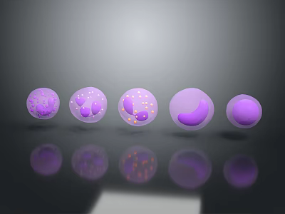Purple Medical Device Spheres with Internal Cell Structures and Reflective Bottom Reflections 3d model