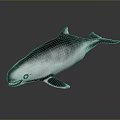 Realistic Gray And White Dolphin With Open Mouth Fins Tail Shiny Surface And Reflection