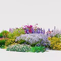 Colorful Flower Garden Bed With Various Vibrant Blooms And Green Plants