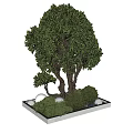 Lush Green Arbor with Small Plants and Stones on Decorative Square Base