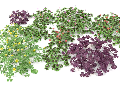 Flowers and plants 3d model