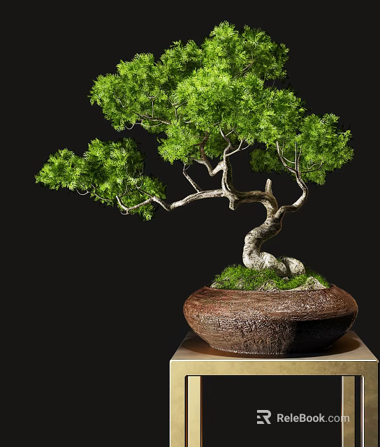 Bonsai Plant With Curved Trunk And Lush Green Leaves In Ceramic Pot 3d model 