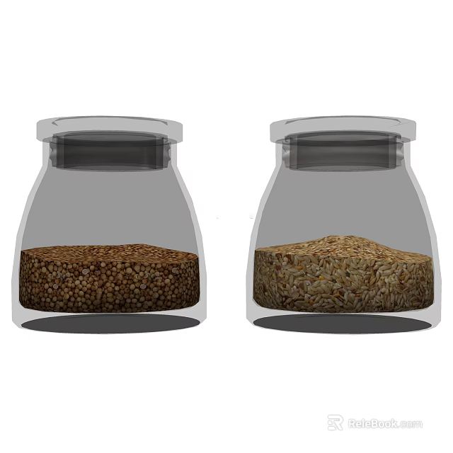 Transparent Glass Spice Jars With Two Grain Types For Kitchen Storage 3d model 