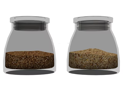 Transparent Glass Spice Jars With Two Grain Types For Kitchen Storage 3d model