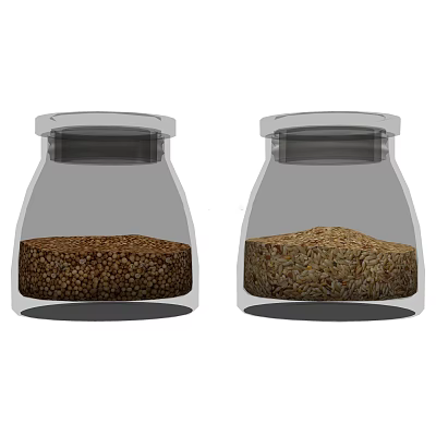 Transparent Glass Spice Jars With Two Grain Types For Kitchen Storage 3d model