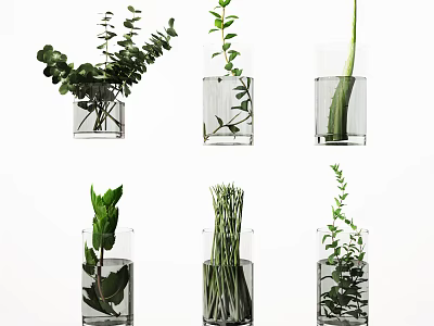 Clear Glass Vases with Fresh Green Plants for Minimalist Home Decor 3d model