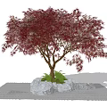 Red Leaf Tree With Stone Base And Green Plants On Woven Mat