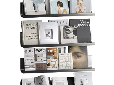 Stylish Books And Magazines On Shelves Display With Various Covers And Titles 3d model