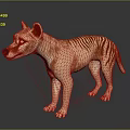 Thylacine 3D Model Light Brown Body Dark Stripes Standing On Black Reflective Background