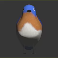 Vibrant Bird With Blue Head Wings Orange Chest And White Belly Standing On Dark Background