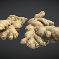 Ginger 3d model