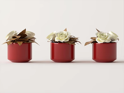 Three Red Potted Plants With White Roses And Brown Leaves On White Background 3d model