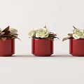 Three Red Potted Plants With White Roses And Brown Leaves On White Background