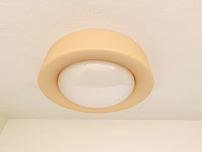 Round Beige Ceiling Light With White Lampshade Simple Design On Ceiling 3d model