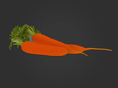 Fresh Organic Carrots With Green Leafy Tops Arranged Side By Side On Dark Background 3d model