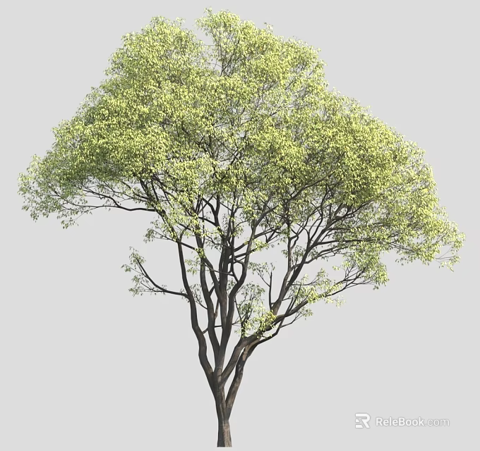 Lush Green Tree With Natural Dark Branches And Vibrant Foliage 3d model 
