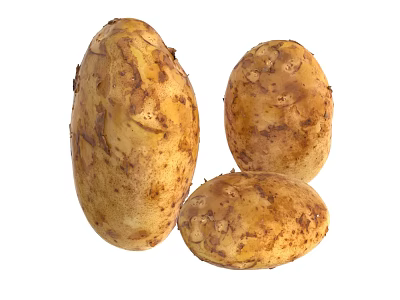 Potato Vegetable Food Potato 3d model