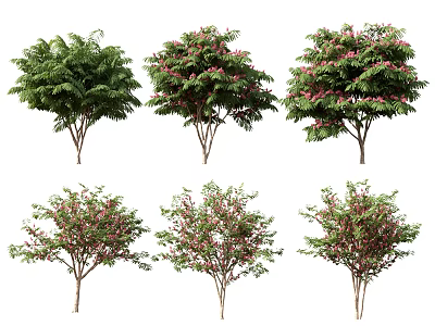 Various Arbor Trees Displaying Green Foliage And Pink Blossoms In Different Forms 3d model