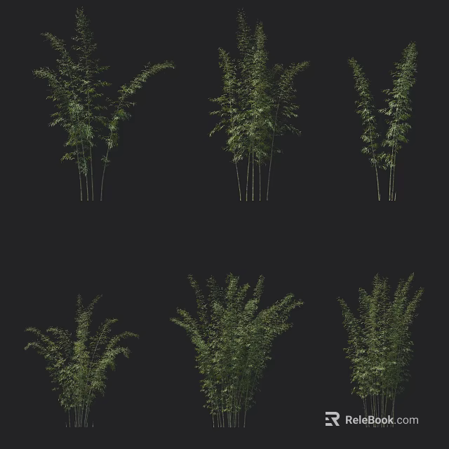 Various Bamboo Plants With Different Growth Forms And Lush Green Foliage 3d model 