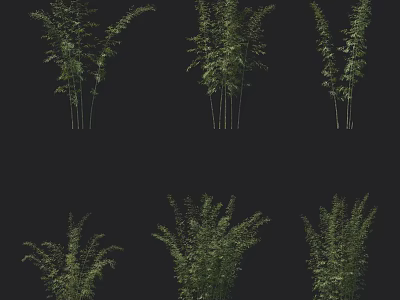 Various Bamboo Plants With Different Growth Forms And Lush Green Foliage 3d model